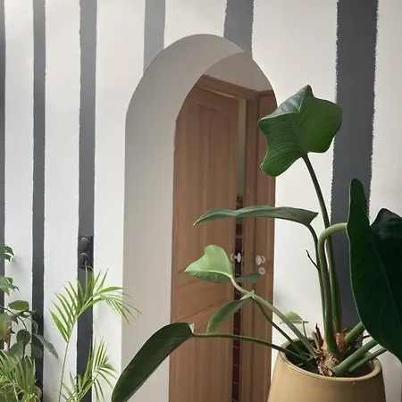 Ky Nous Va-elegante Maison Arago Dom wakacyjny Les Sables-dʼOlonne